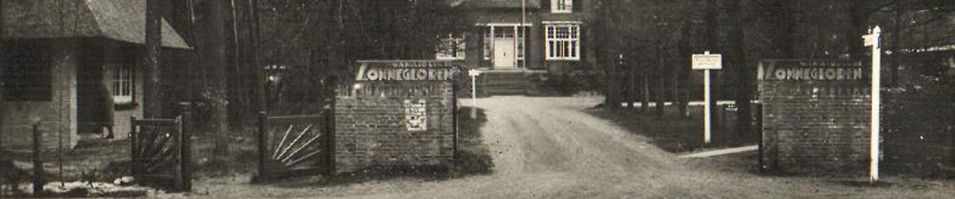 History zonnegloren